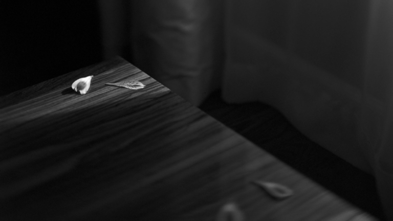 A6-A11-Expand-Your-BW-Darkroom-Printing-scaled_768x432_acf_cropped_768x432_acf_cropped_768x432_acf_cropped_768x432_acf_cropped_768x432_acf_cropped