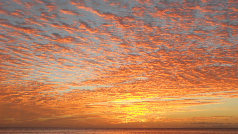 imageedit_2_8968701152_768x432_acf_cropped