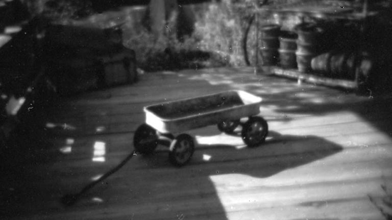Photographing-with-Vintage-and-Toy-Cameras-Rinker_768x432_acf_cropped