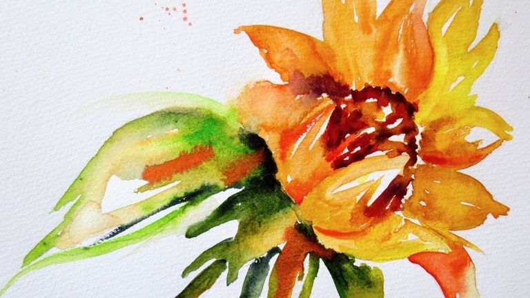 Sensational-Sunflowers_Filler-scaled-1_768x432_acf_cropped