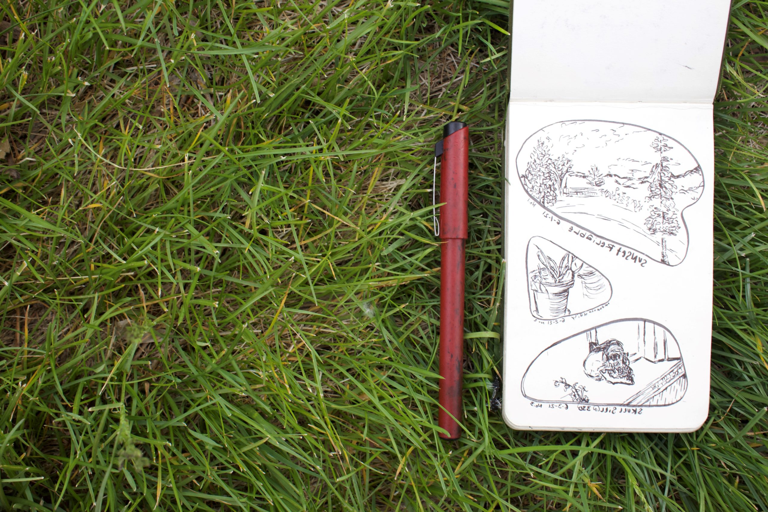 Drawing from Life_Turner