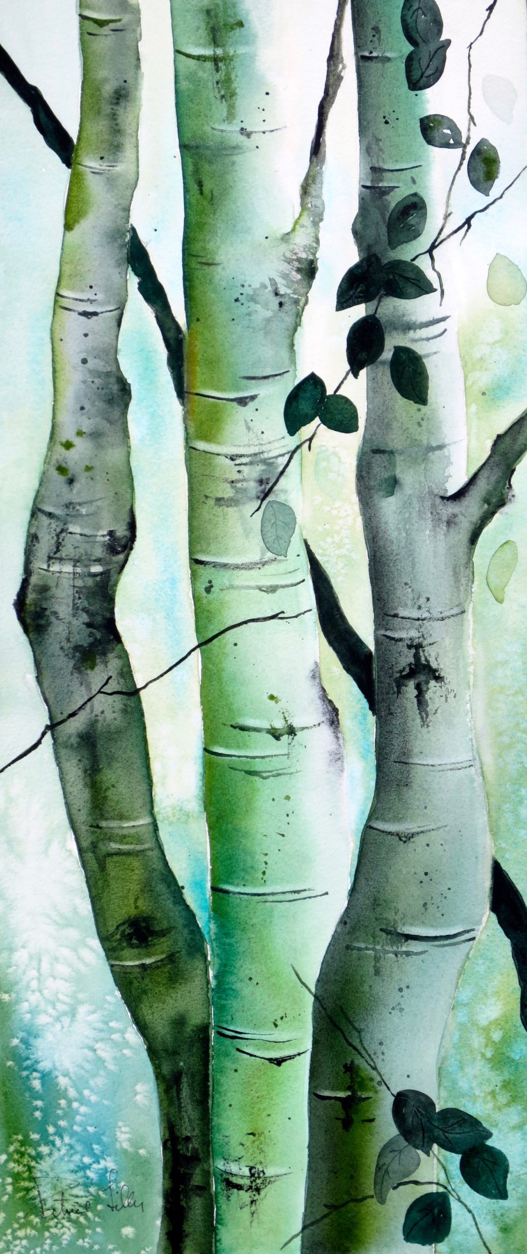 The Calligraphy of Trees