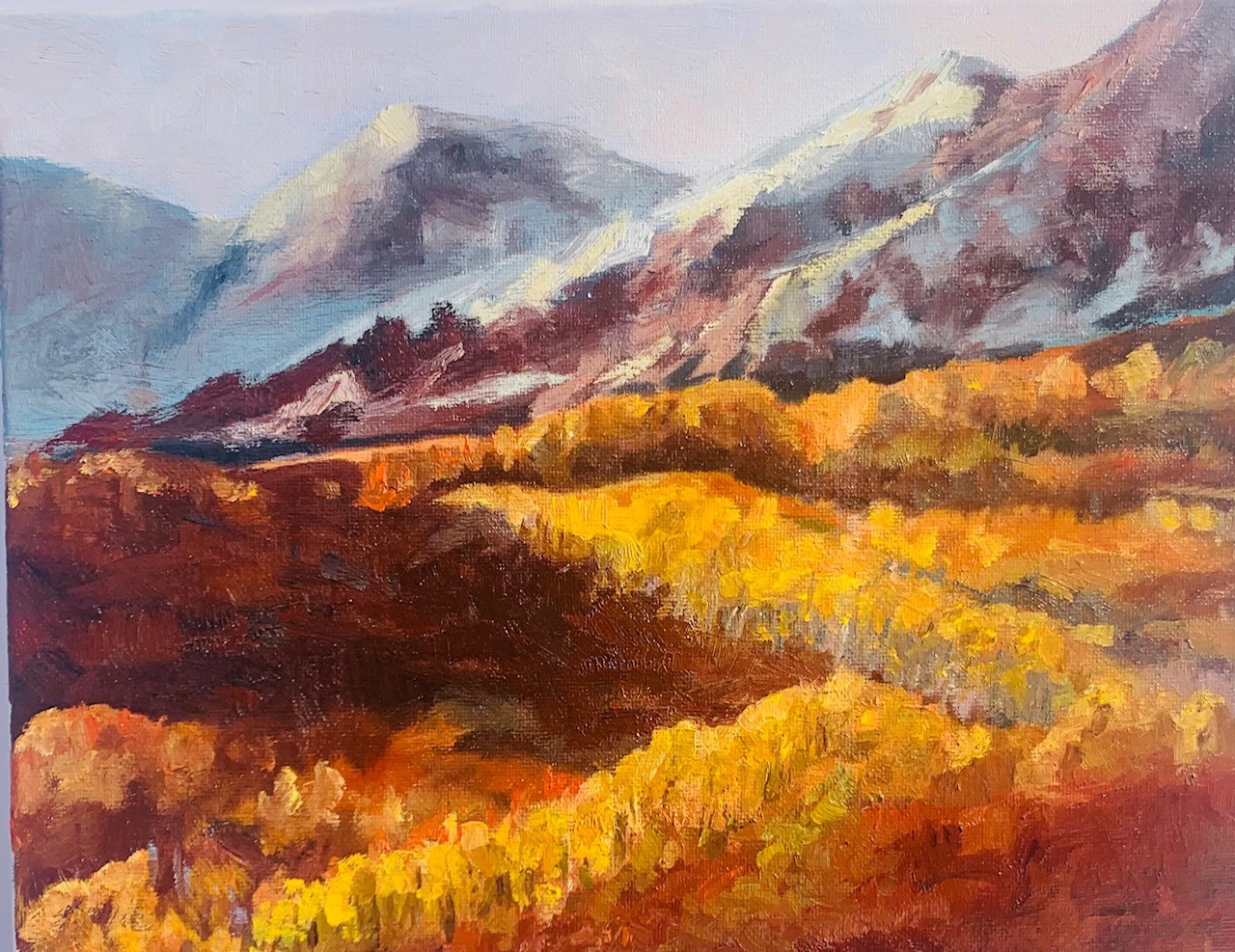 Painting-the-seasons-winter-Sagastume