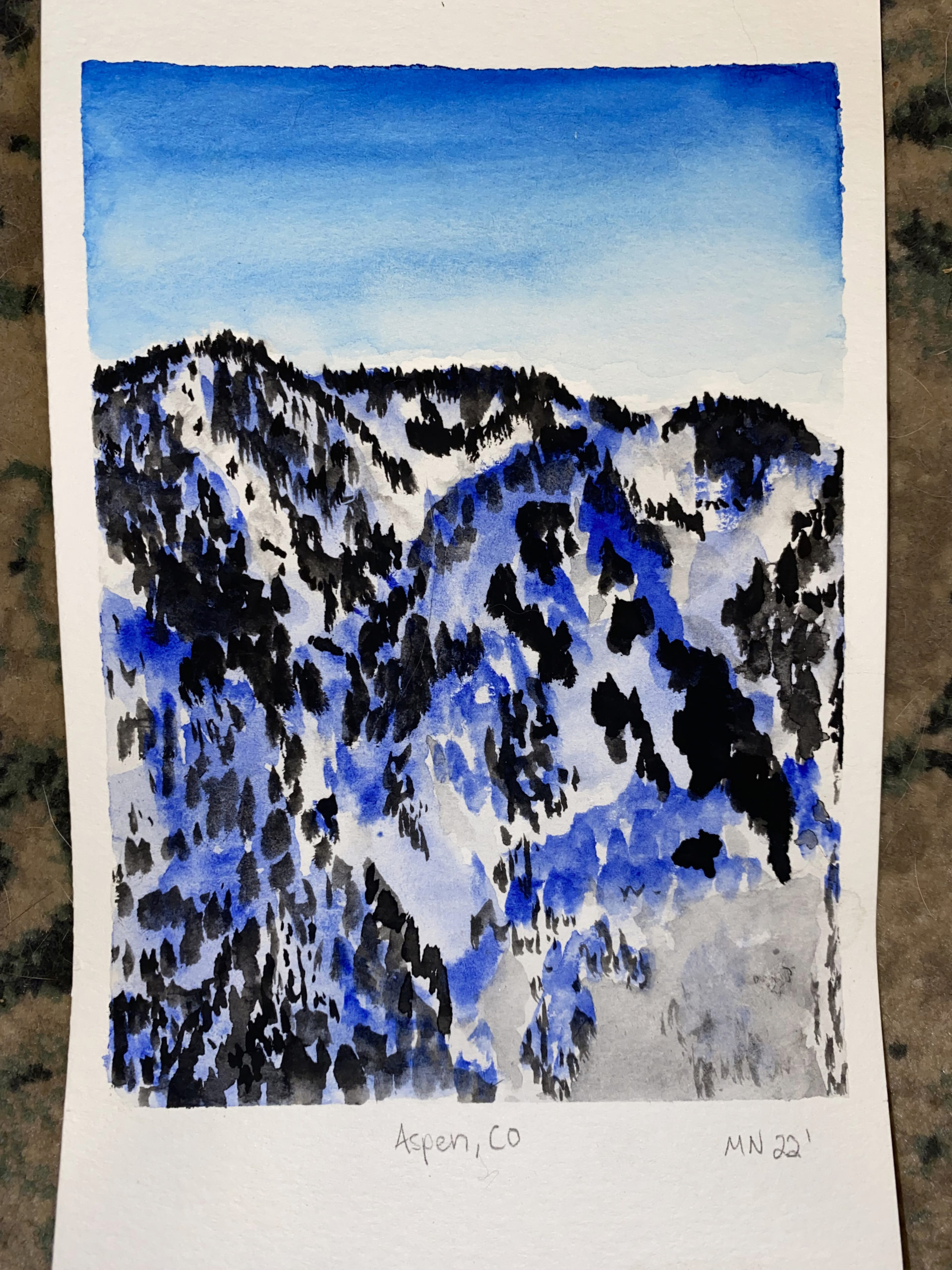 Watercolor in Nature_Newberry_Adults