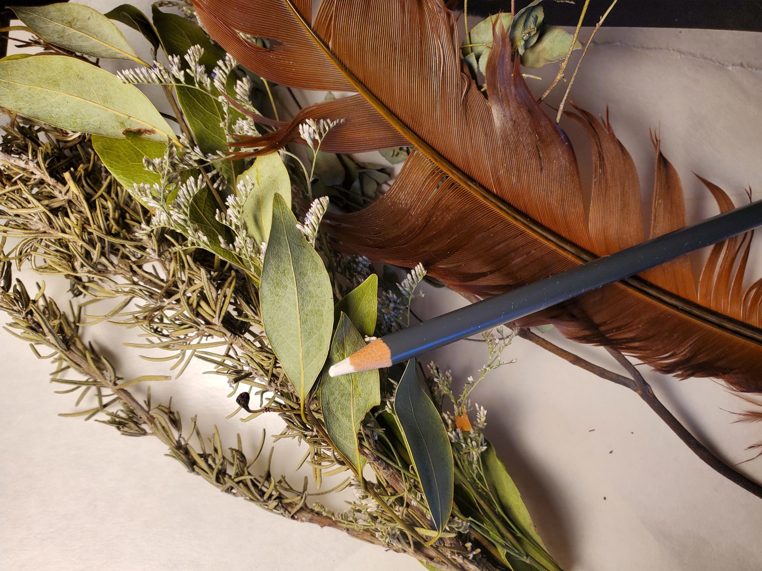 make-art-from-nature-dillavou