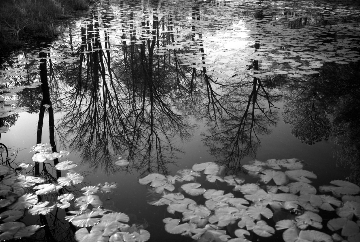 Reflection, Good Hope, GA