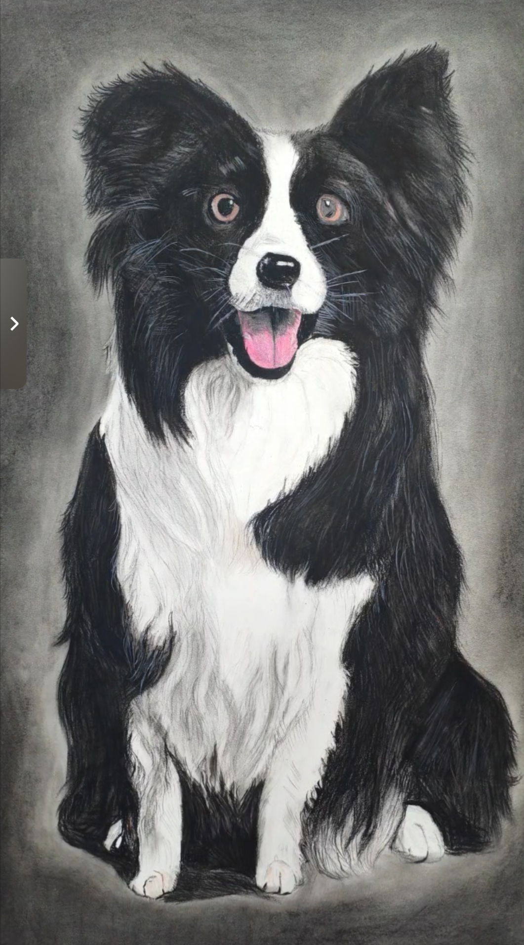 Feng_Realistic Animal Drawing
