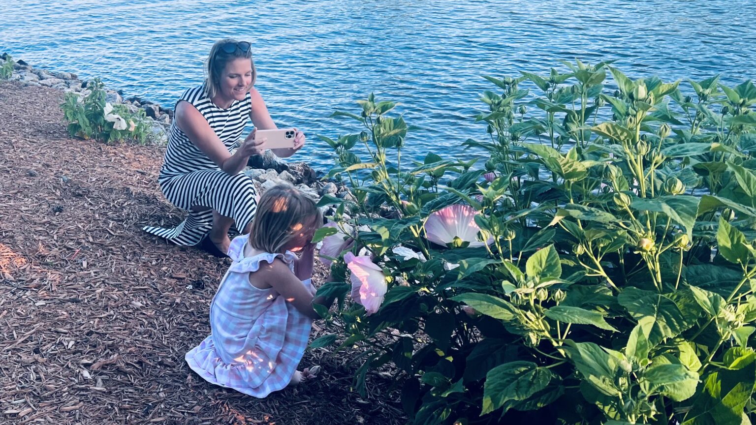 All Classes FAC's Bemis School of Art