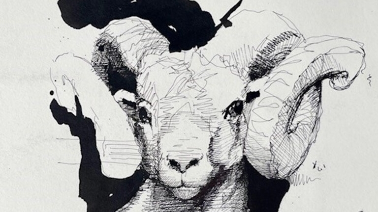 Needham_Fundamentals-of-Drawing-SCALED_768x432_acf_cropped