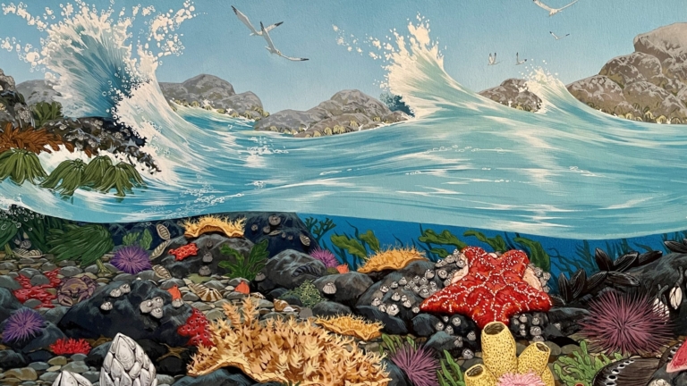 Needham_Introduction-to-Gouache-Painting-scaled_768x432_acf_cropped
