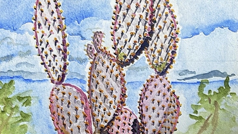 Southwest.watercolors.jpeg_768x432_acf_cropped
