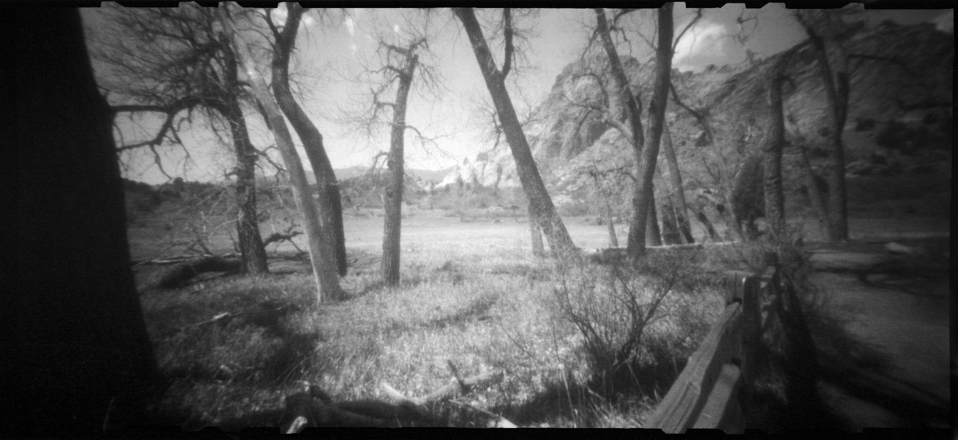 Crews_B&W Darkroom Printing Workshop Holiday Edition