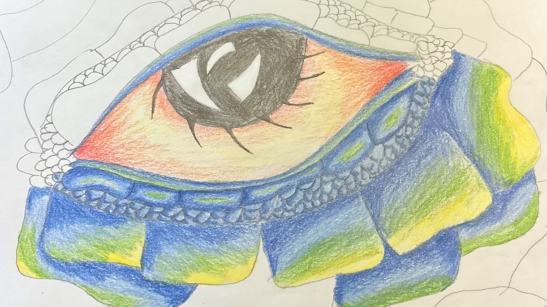 Darress_Art-explorers_768x432_acf_cropped