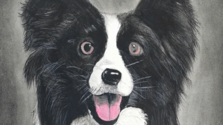 Feng_Realistic-Animal-Drawing-e1756236052451_768x432_acf_cropped